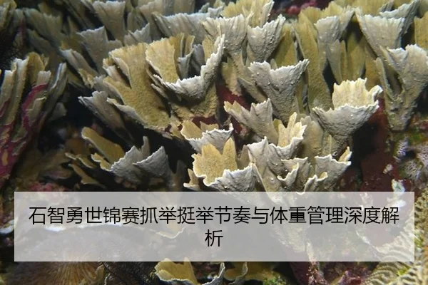 shi-zhi-yong-shi-jin-sai-zhua-ju-ting-ju-jie-zou-yu-ti-zhong-guan-li-shen-du-jie-xi-2-720.jpg