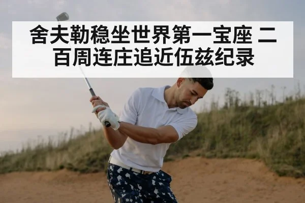 舍夫勒稳坐世界第一宝座 二百周连庄追近伍兹纪录
